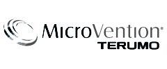 Microvention